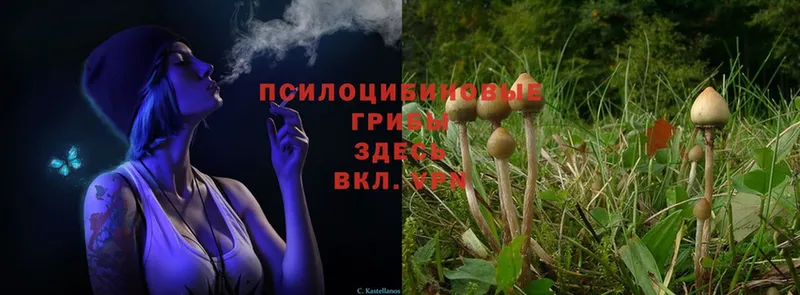 Галлюциногенные грибы Magic Shrooms  Челябинск 